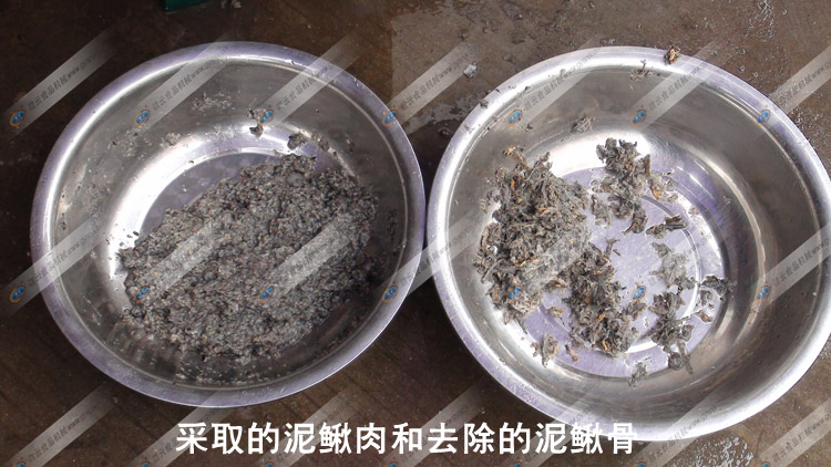 �����q��-���q�����qƤ���ȈD-�M�ƙC(j��)е