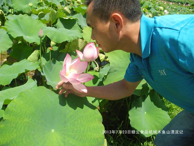 �@���炃��մ���ǲ�-�M��ʳƷ�C(j��)еľ�~ɽ����Ư��ӛ