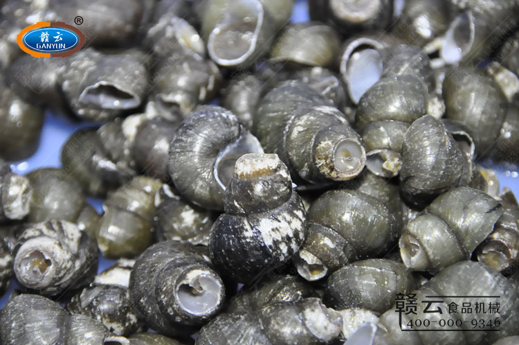 ���õ������،��D