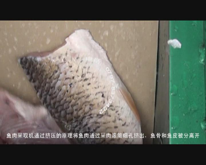 �~��ӹ������O(sh��)��