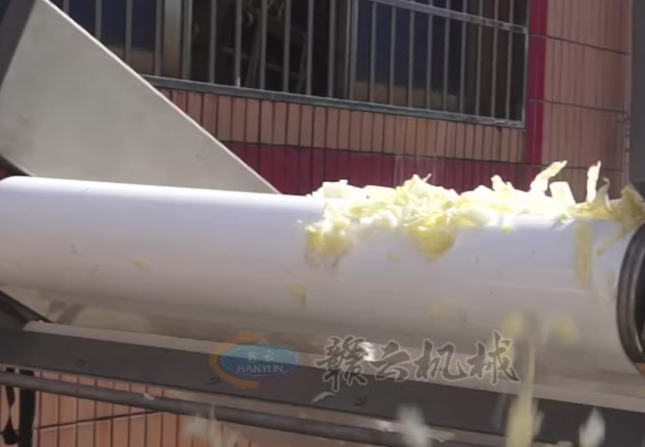 Ƥ�������C