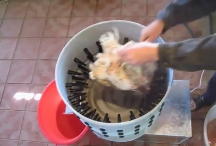 ��̖����Óë�C(j��)-���A��