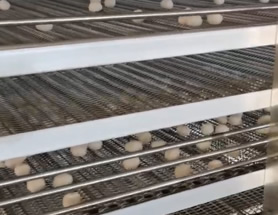 �ծa(ch��n)�f(w��n)��